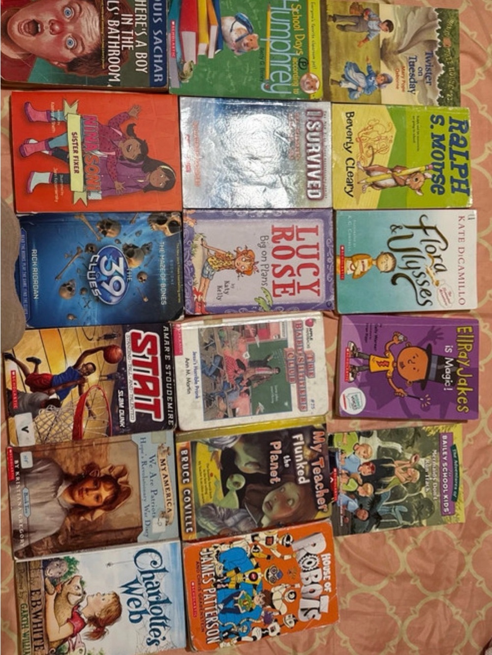Children's Assorted Book Set - Colorful Mix of Kids Titles 17 books $15